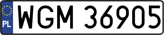 WGM36905