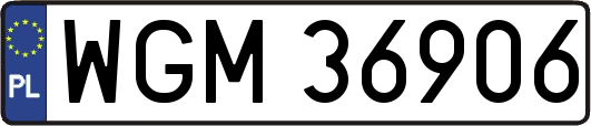 WGM36906