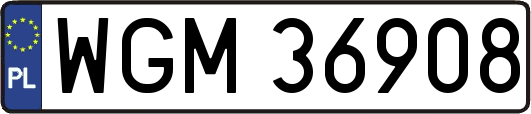 WGM36908