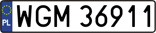 WGM36911