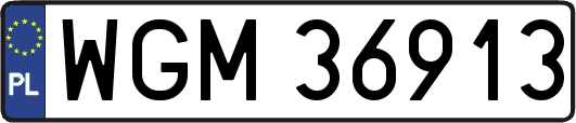 WGM36913