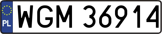 WGM36914