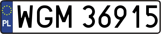 WGM36915