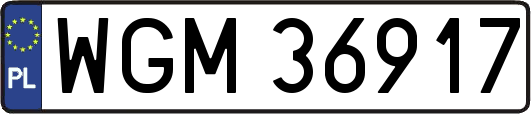 WGM36917