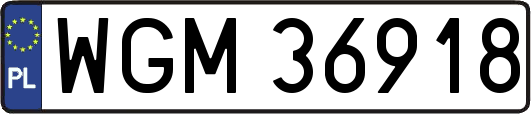 WGM36918
