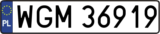 WGM36919