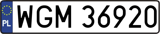 WGM36920