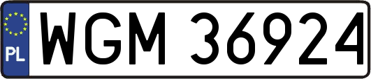 WGM36924