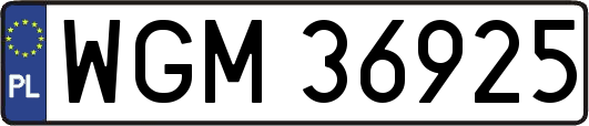 WGM36925