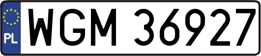 WGM36927