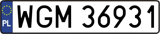 WGM36931