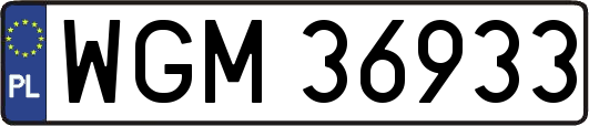 WGM36933