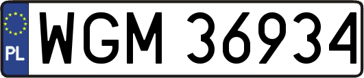 WGM36934