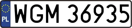 WGM36935