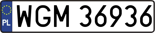 WGM36936