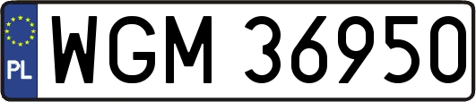 WGM36950