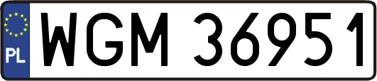 WGM36951