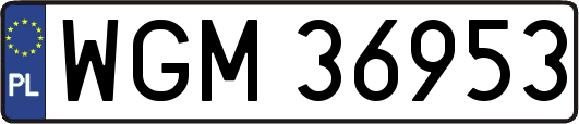 WGM36953