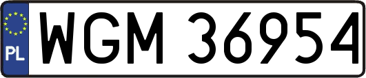 WGM36954
