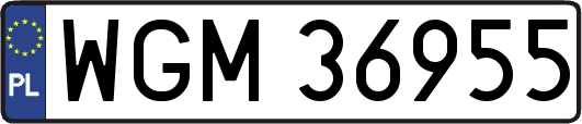 WGM36955