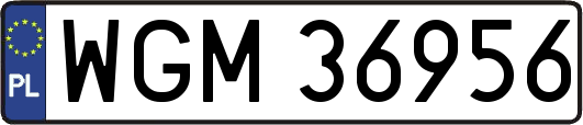 WGM36956