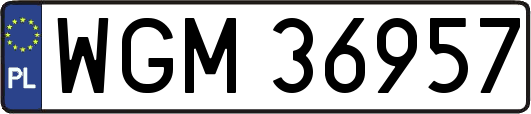 WGM36957