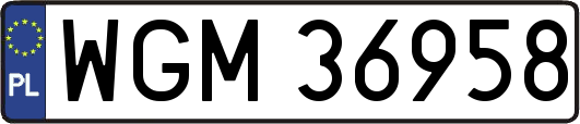 WGM36958
