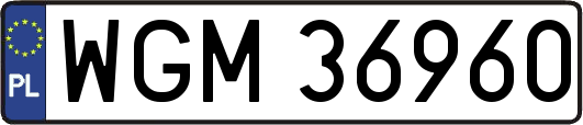 WGM36960