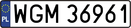 WGM36961