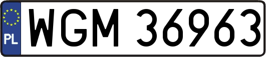 WGM36963