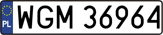 WGM36964