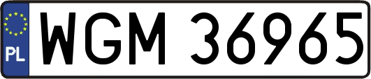 WGM36965