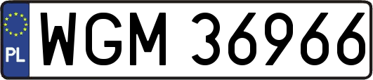 WGM36966