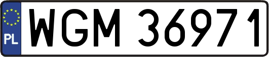 WGM36971