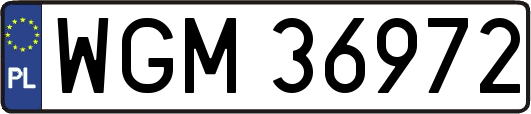 WGM36972