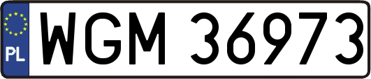 WGM36973