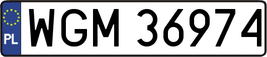 WGM36974
