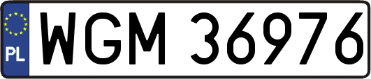 WGM36976