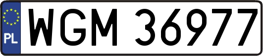 WGM36977