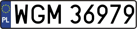 WGM36979