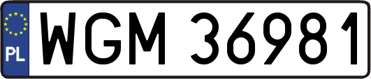 WGM36981
