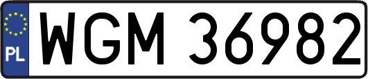 WGM36982