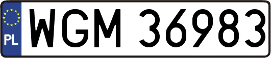 WGM36983