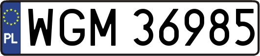 WGM36985