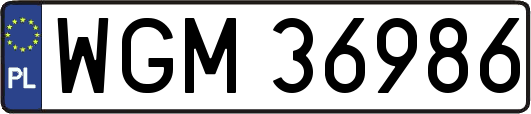 WGM36986