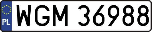 WGM36988