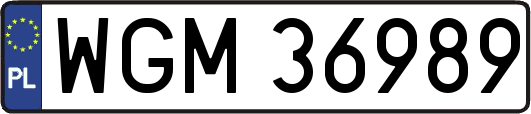 WGM36989