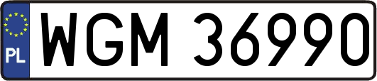 WGM36990
