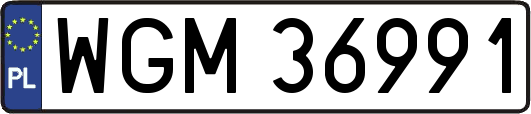 WGM36991