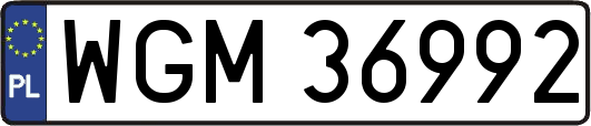 WGM36992